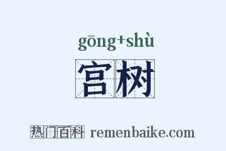 宫树是什么意思的图片